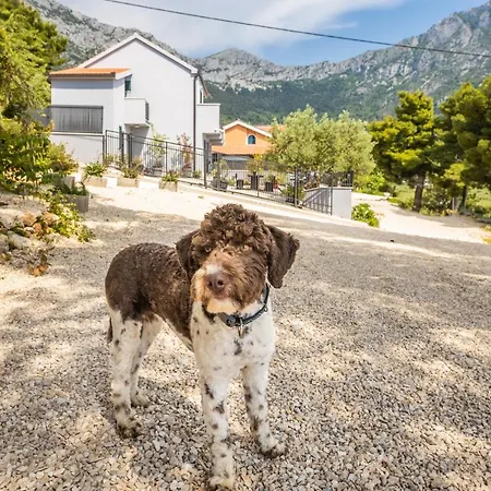 Villa Unique Gradac (Split-Dalmatia)