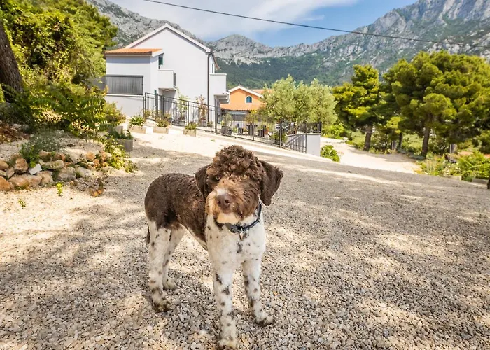 Vila Unique Gradac (Split-Dalmatia)